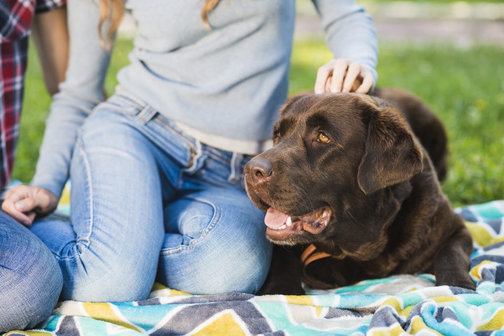 vrouw met hond